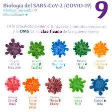 Jun 14, 2021 · variante delta, due dosi vaccino riducono rischio infezione. Ministerio De Ciencia Ø¹Ù„Ù‰ ØªÙˆÙŠØªØ± Variante Delta Como Se Clasifican Las Distintas Variantes Del Sars Cov 2 El Virus Que Causa La Enfermedad Del Covid 19 Miren Esta Infografia De Bioilustrador Https T Co Tp4ryu6b6m ØªÙˆÙŠØªØ±