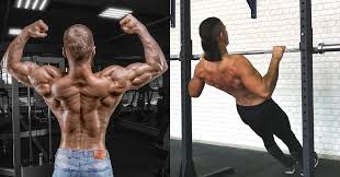 Muscle_anatomy female torso includes 6 skin modes, skeletal system with connective tissue, and complete muscular system (including all deep muscles). Qvdikgqdhfcxqm