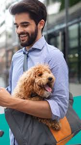Then, reimbursement rates are the percentage that pet insurance will cover or pay you back for a covered event. Pets Best Pet Health Insurance By Pets Best Insurance Services Llc