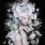 Profile Picture of Isabelle van Zeijl Fine Art Prints and Photography | LUMAS (@lumas.com) on Google