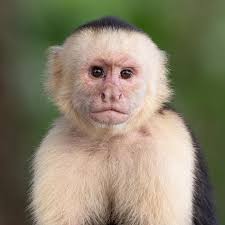 Jeffrey (Jeff) Loos (@jloosphoto) • Instagram photos and videos