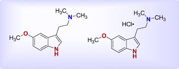 5-MeO-DMT: Potential Use of Psychedelic-Induced Experiences in the Treatment of Psychological Disorders | ACS Medicinal Chemistry Letters