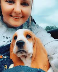 Big fan of whatever you call this part of a dog