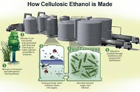 Yahoo Biomass Biogas Ethanol