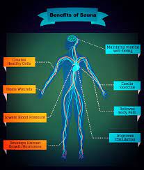 Health Benefits Of Sauna