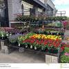 Lowes foods of apex dirba šiose srityse: 1
