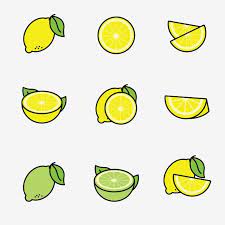 レモンの直系の色のアイコンのかわいいレモンベクトルイラストセット 柑橘類 レモン 食物画像素材の無料ダウンロードのためのpngとベクトル イラスト 刺繍 図案 レモン イラスト
