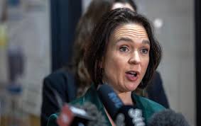 Chris Hipkins says Ginny Andersen 'went too far' claiming Mark Mitchell was  'paid to kill people'