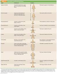 Http Classes Midlandstech Edu Carterp Courses Bio210 Chap01 210 Table 01 01 Lab Anatomy And Physiology Basic Anatomy And Physiology Medical Terminology Study