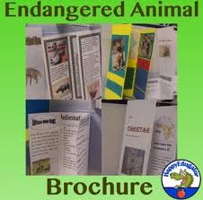 Endangered Animal Brochure Project With Rubric The White Giraffe Also Includes Research Report Endangered Animals Endangered Animals Project Animal Projects