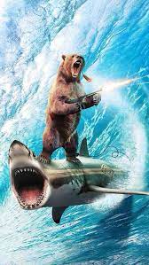 Awesome Bear Shark Funny Phone Wallpaper New Backgrounds New Wallpaper Iphone
