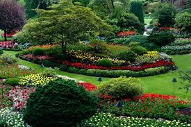 What's more, with the fiskars range of top tools, we can help you weed with speed. Commercial Lawn Care Velocity Gardens
