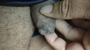 Indian small uncut dick