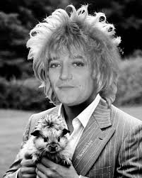 Dislike for musician's change in behavior