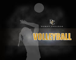 ( it looks pretty damn sick) 3. Volleyball Images Volleyball Hd Wallpaper And Background Poster 626502 Hd Wallpaper Backgrounds Download