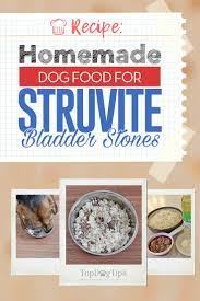 Homemade Dog Food For Struvite Bladder Stones Recipe