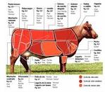 Resultado de imagen para cortes de carne en argentina y venezuela