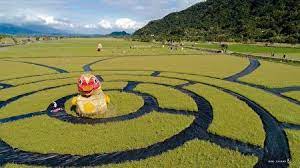 玉里鎮193縣道106 7k處稻田上紅面鴨為造型 花現鴨鄉寶 soccer field baseball field golf courses