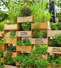 Jardin Vertical Creer Optimiser Decorer Decorations Pour La Maison Idees Jardin Terrasse Jardin Potager