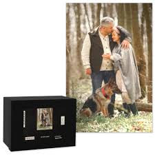 Armed with some know how, a few small touches and walmart's every day low prices on home furnishings and decor, you can breathe new life into your living space whether it be with fresh furniture like a bedroom set or something functional like a new bookshelf. Puzzles 8x10 Premium Photo Puzzle With Gift Box 110 Piece Full Photo