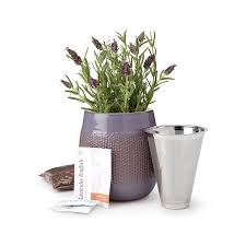 Birth Month Flower Grow Kit Instructions Self Watering Lavender Grow Kit Gardening Gift Uncommon Goods In 2020 Grow Kit Garden Gifts Self Watering