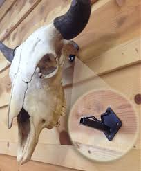 Check spelling or type a new query. Skull Bracket Made In Wyoming Skull Bracket Was Created Out Of Pure Necessity To Find A Better Way To Hang Cow Skull Art Longhorn Skull Decor Deer Skull Art