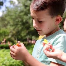 Shangri La Botanical Gardens & Nature Center