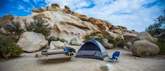 Maybe you would like to learn more about one of these? Top 10 Tips For Visiting Joshua Tree Joshua Tree Visitors Guide