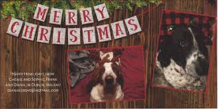 2019 Daily Drool Howliday Card Exchange