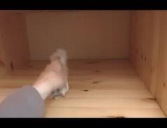 Schimmel im schlafzimmer sachverständige zeigt wo es schimmelt. Video Schimmel Im Kleiderschrank Was Nun