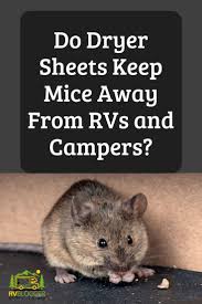 After your clothes are washed and clean, those little dryer sheets have a very thin layer of fabric softener or lubricant, which is electronically conductive. Pin On Camping Things