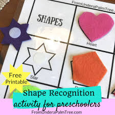 Shape Recognition Activity From Under A Palm Tree Teaching Shapes Shapes Preschool Shapes Activities