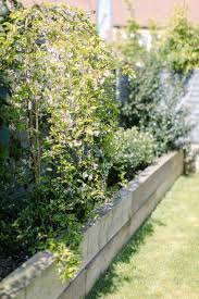 You will now have a box shape that creates a neat border. Lisa S Garden How To Add Character To A New Build Garden