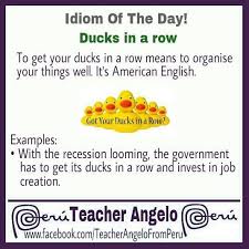 To Get One S Ducks In A Row Idioms English Idioms Teaching Idioms