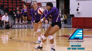 Pin On Ncaa Volleyball News