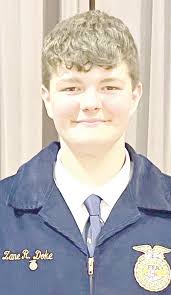 Wayne Layout Template