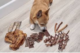Uykucu Peri Adli Kullanicinin Dogchews Panosundaki Pin