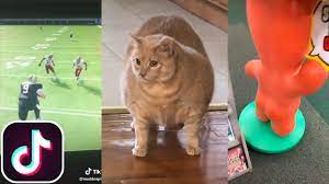 Damn Boy He Thicc Boi Tiktok Compilation Youtube
