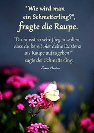 Pin Von Birgit R Auf Spruche Nachdenkliche Spruche Weisheiten Spruche Zitate
