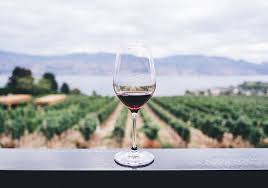 Né alcun altro diletto hanno i mortali. Frasi Sul Vino E Sul Bere Le 50 Piu Belle In Inglese E Italiano Frasi Mania
