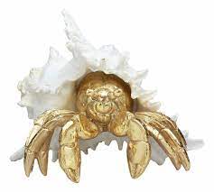 Outdoor metal crab decorations to drape definition of culture. Dovecove Devane Ocean Sea Conch Shell Hermit Crab Figurine Reviews Wayfair