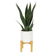 2.75 faux succulent planter with white pot. Better Homes Gardens Faux Snake Plant In White Planter Stand 20 X 8 66 Walmart Com Walmart Com