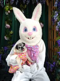 Some Bunny Loves You!