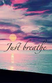 Pin On The 10th Doctor S Board For Elsa