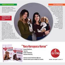 Lyme Hastaligi Kene Tarafindan Bulastirilan Ve Borrellia Bugdorferi Isimli Bakterinin Yol Actigi Bir Hastaliktir Lyme Enfeksiyonlari Parazit Kopek Kedi