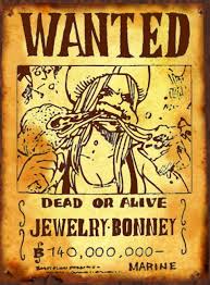 Wanted Jewelry Bonney One Piece World One Piece Anime Jewelry Blog