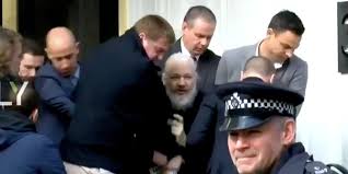 He is a producer and director, known for медиастан (2013), collateral murder (2010). Assange Arrest Designed To Stop Him Pressing Mysterious Panic Button Business Insider