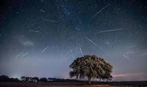 Perseid Meteor Shower Nasa Live Stream How To Watch Science News Express Co Uk