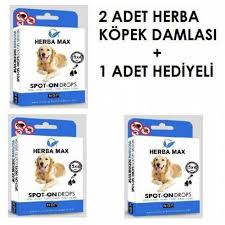 Kopek Dis Parazit Gittigidiyor