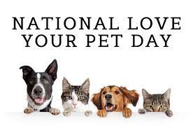 Celebrate national pet day and masters sunday falling on the same day with a bunch of furry friends decked out in masters gear. It S National Love Your Pet Day How Are You Celebrating The Bromsgrove Standard